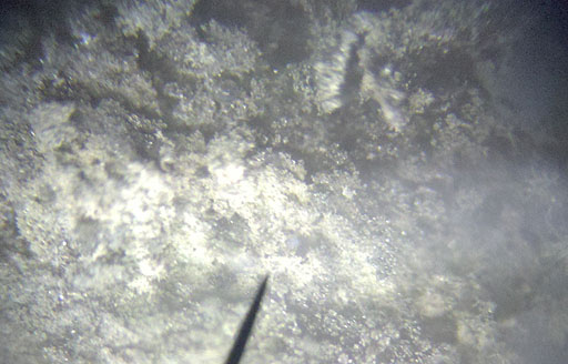 Silver forming under microscope from magnesium