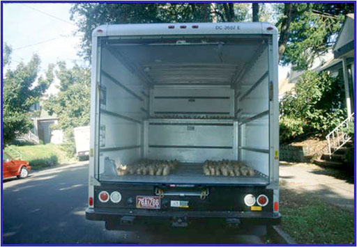 truck with potatoes in it