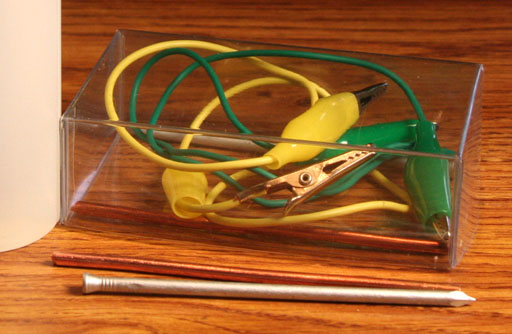 zinc plated nail from plastic case