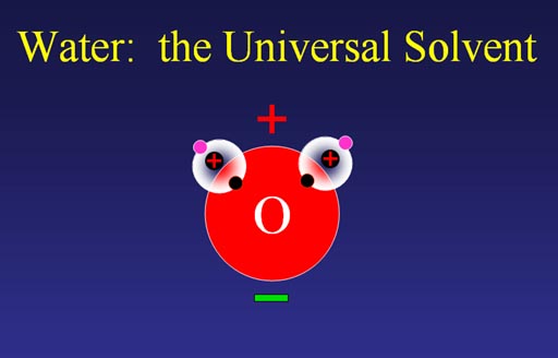 what makes water the universal solvent