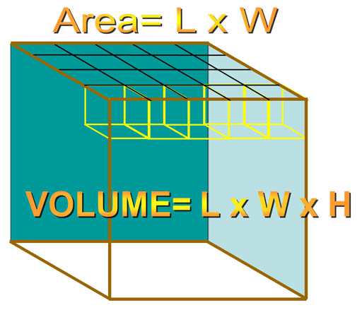 Length X Width. Length width of whose