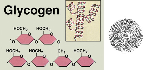 Saturated Fat Molecule. Cholestrol,saturated fat