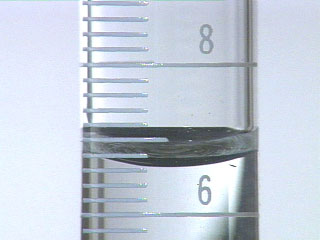 meniscus