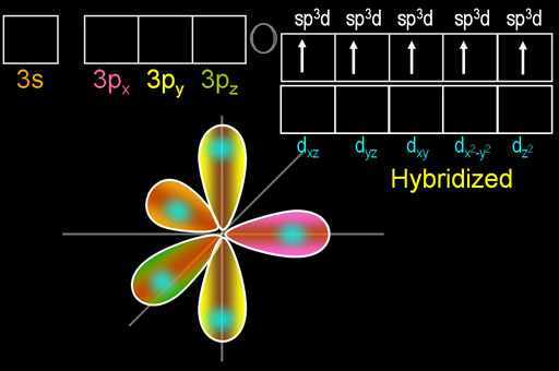 www.chemistryland.com