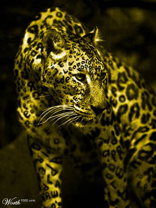 leopard