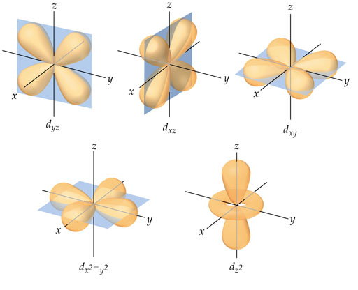 d orbitals