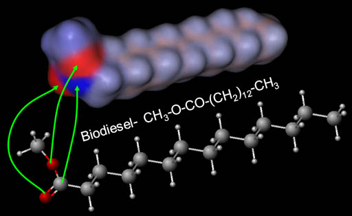 biodiesel molecule
