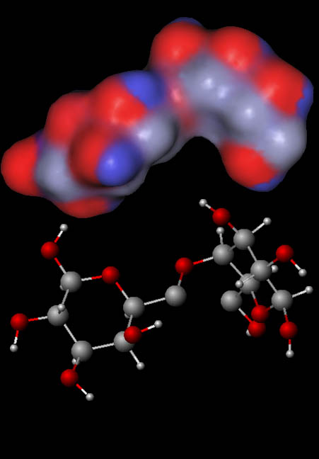 cellulose molecule