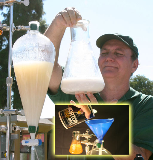 Biodiesel emulsion