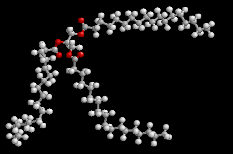 triglyceride