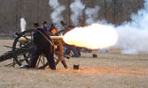Cannon